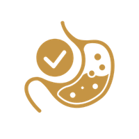 IMPROVES DIGESTION